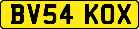 BV54KOX