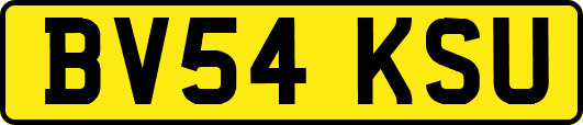 BV54KSU
