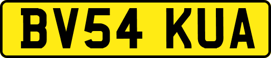 BV54KUA