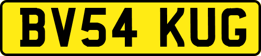 BV54KUG