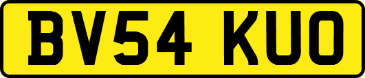 BV54KUO