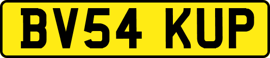 BV54KUP