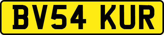 BV54KUR