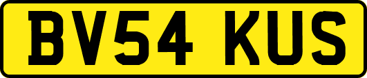 BV54KUS