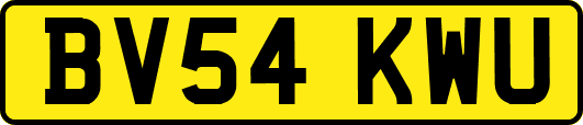 BV54KWU