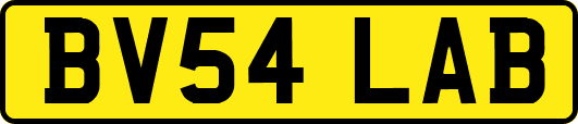 BV54LAB