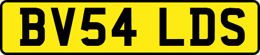 BV54LDS