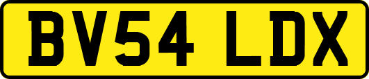 BV54LDX