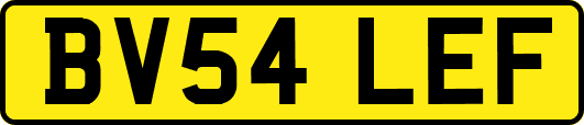 BV54LEF
