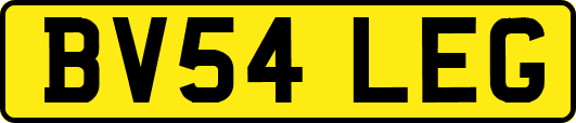 BV54LEG