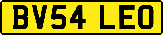 BV54LEO