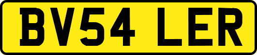 BV54LER
