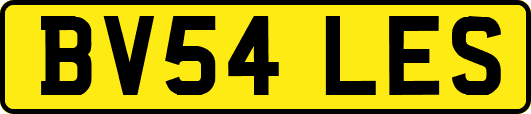 BV54LES