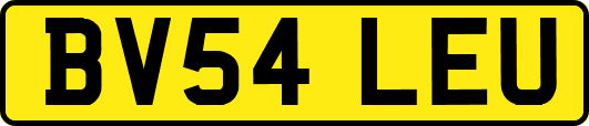 BV54LEU
