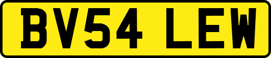 BV54LEW