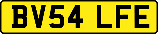 BV54LFE