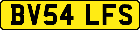 BV54LFS