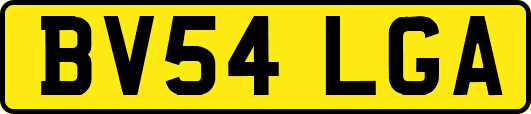 BV54LGA