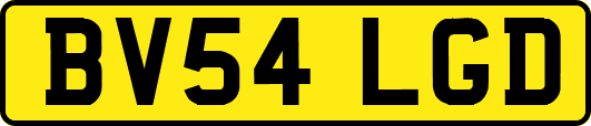 BV54LGD