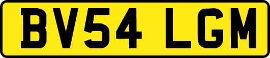 BV54LGM