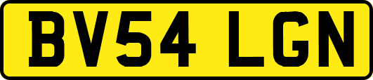 BV54LGN