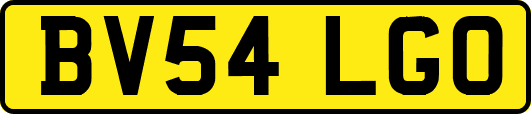 BV54LGO