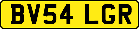 BV54LGR