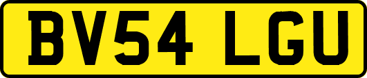 BV54LGU