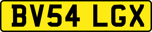 BV54LGX