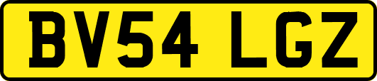 BV54LGZ