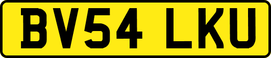 BV54LKU