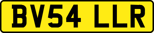 BV54LLR