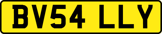 BV54LLY