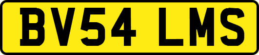 BV54LMS
