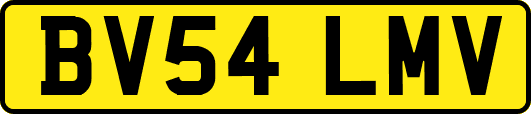 BV54LMV