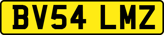 BV54LMZ