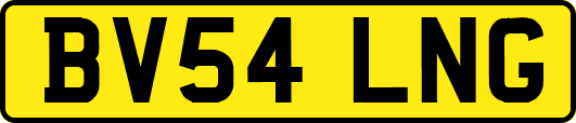 BV54LNG