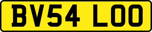 BV54LOO