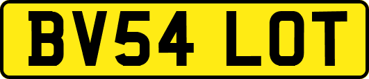 BV54LOT