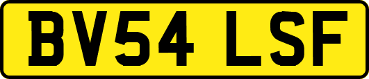 BV54LSF
