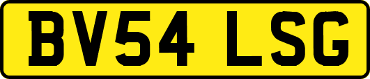 BV54LSG