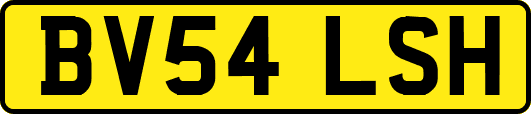 BV54LSH