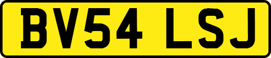 BV54LSJ