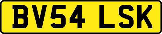 BV54LSK