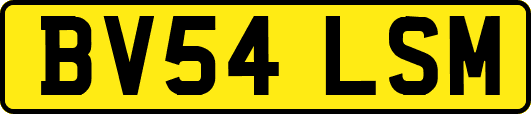 BV54LSM