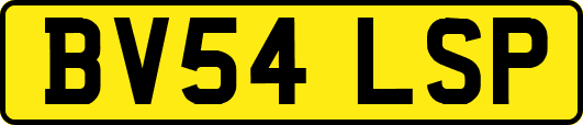 BV54LSP