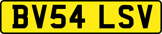 BV54LSV