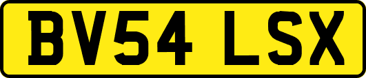 BV54LSX