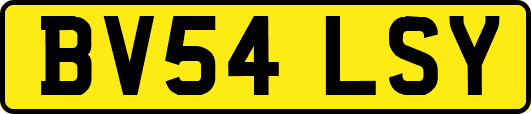 BV54LSY