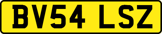BV54LSZ